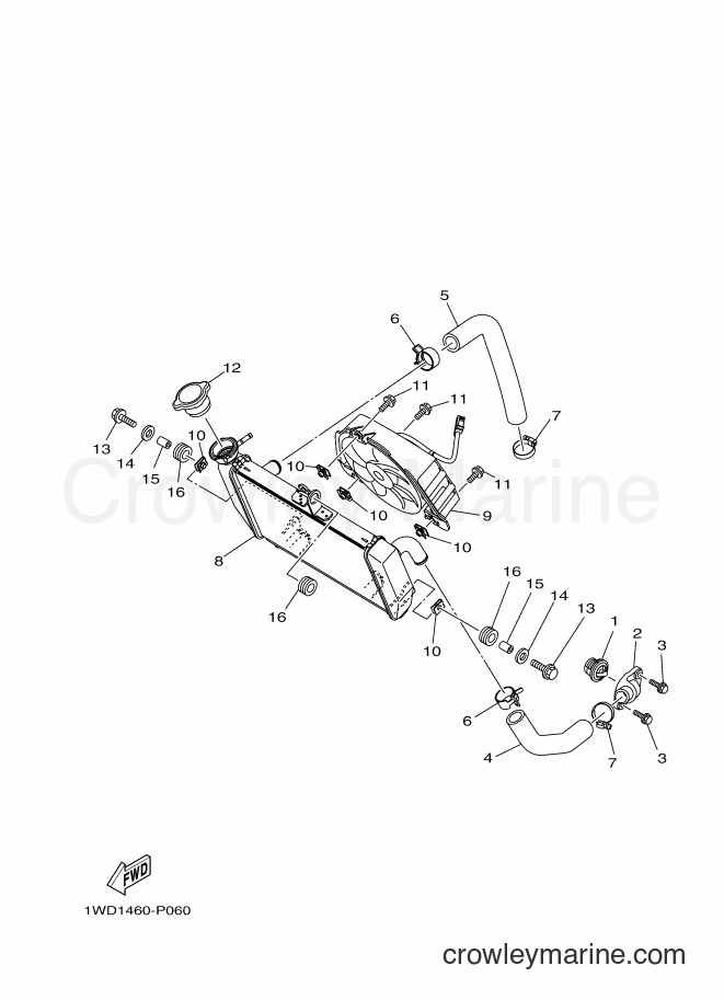 Yamaha Motors YZF-R3 (2MS2) [010] - RADIATOR & HOSE