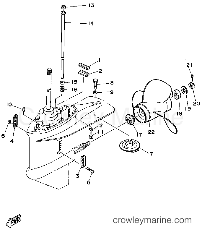 Yamaha Motors C40MSHT - LOWER CASING DRIVE 2