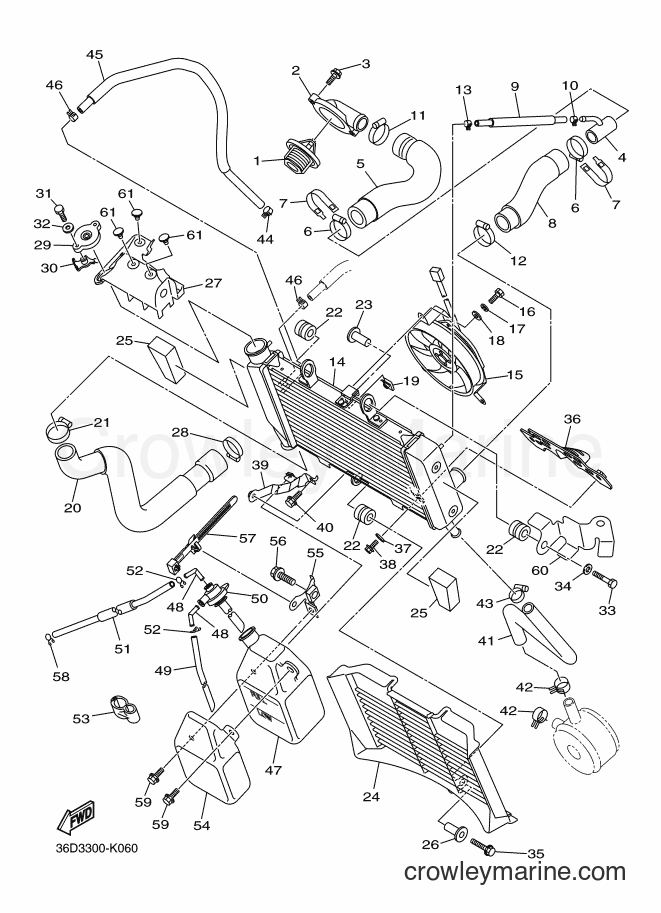 Yamaha Motors XJ6SA (36D5) [010] - RADIATOR & HOSE