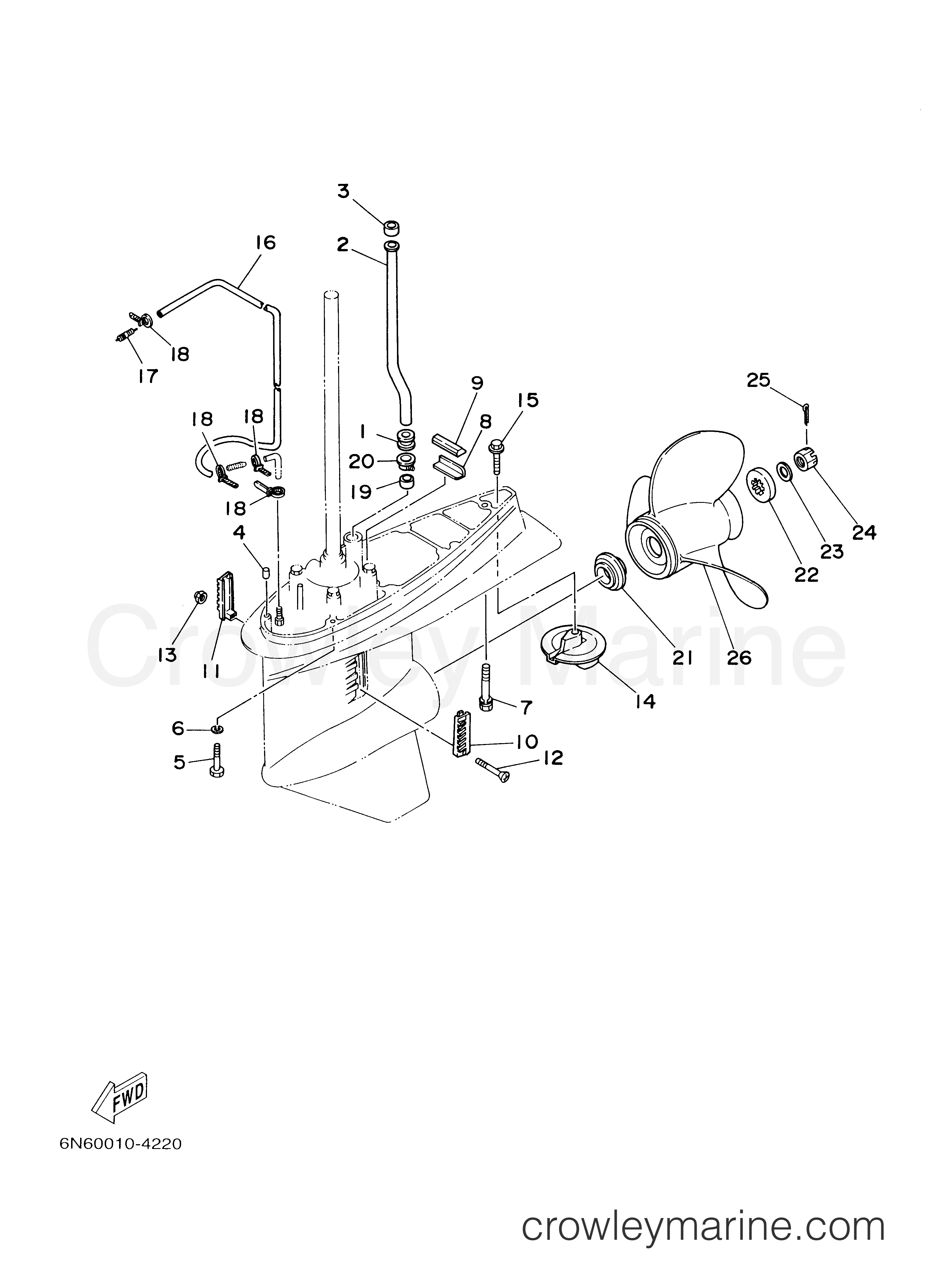 Yamaha Motors C115TXRY - LOWER CASING DRIVE 2