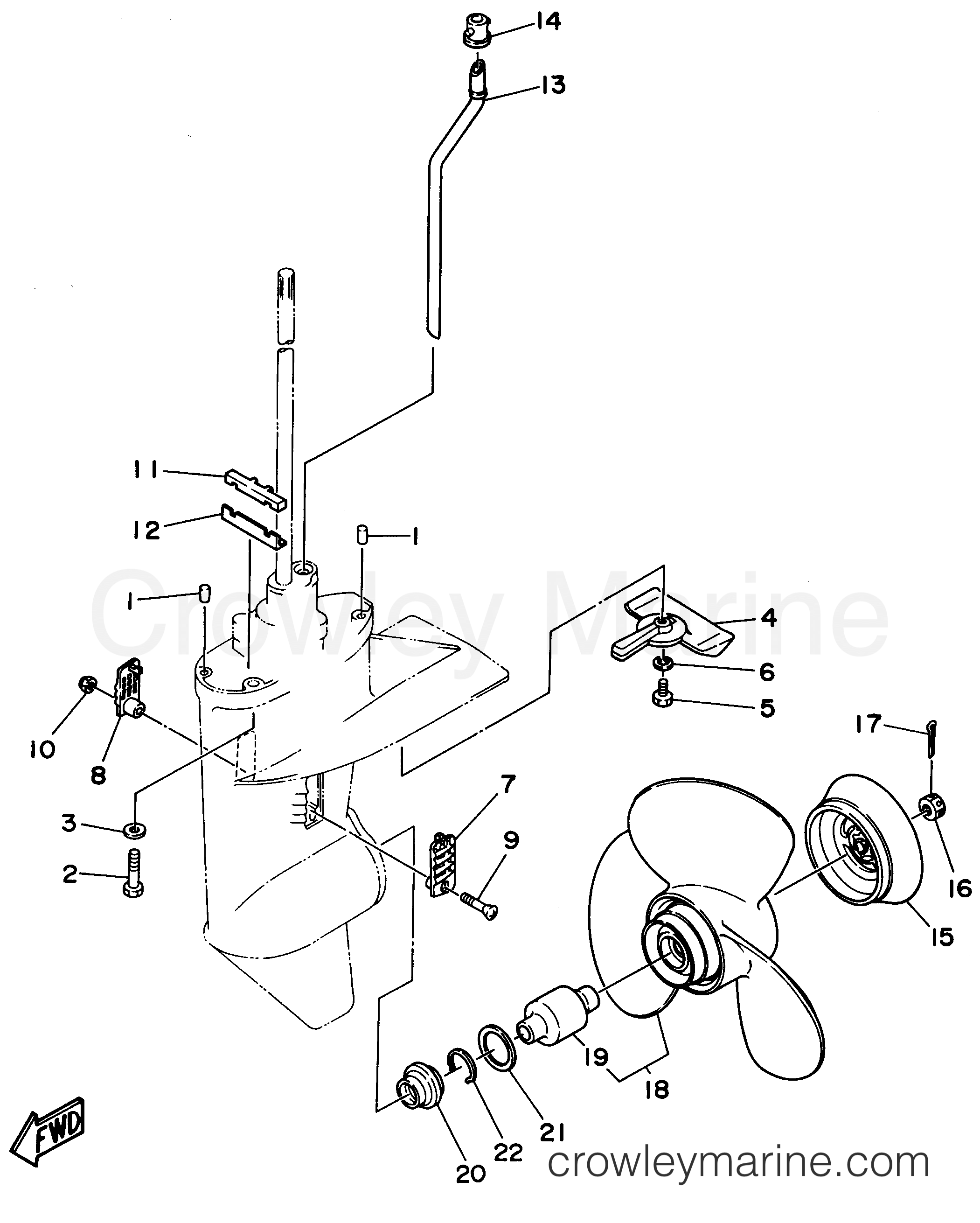 Yamaha Motors T9.9ELRU - LOWER CASING DRIVE 2