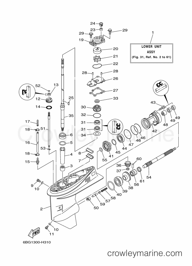 Yamaha Motors F40FETL (6BG5) [340] - LOWER CASING & DRIVE 1