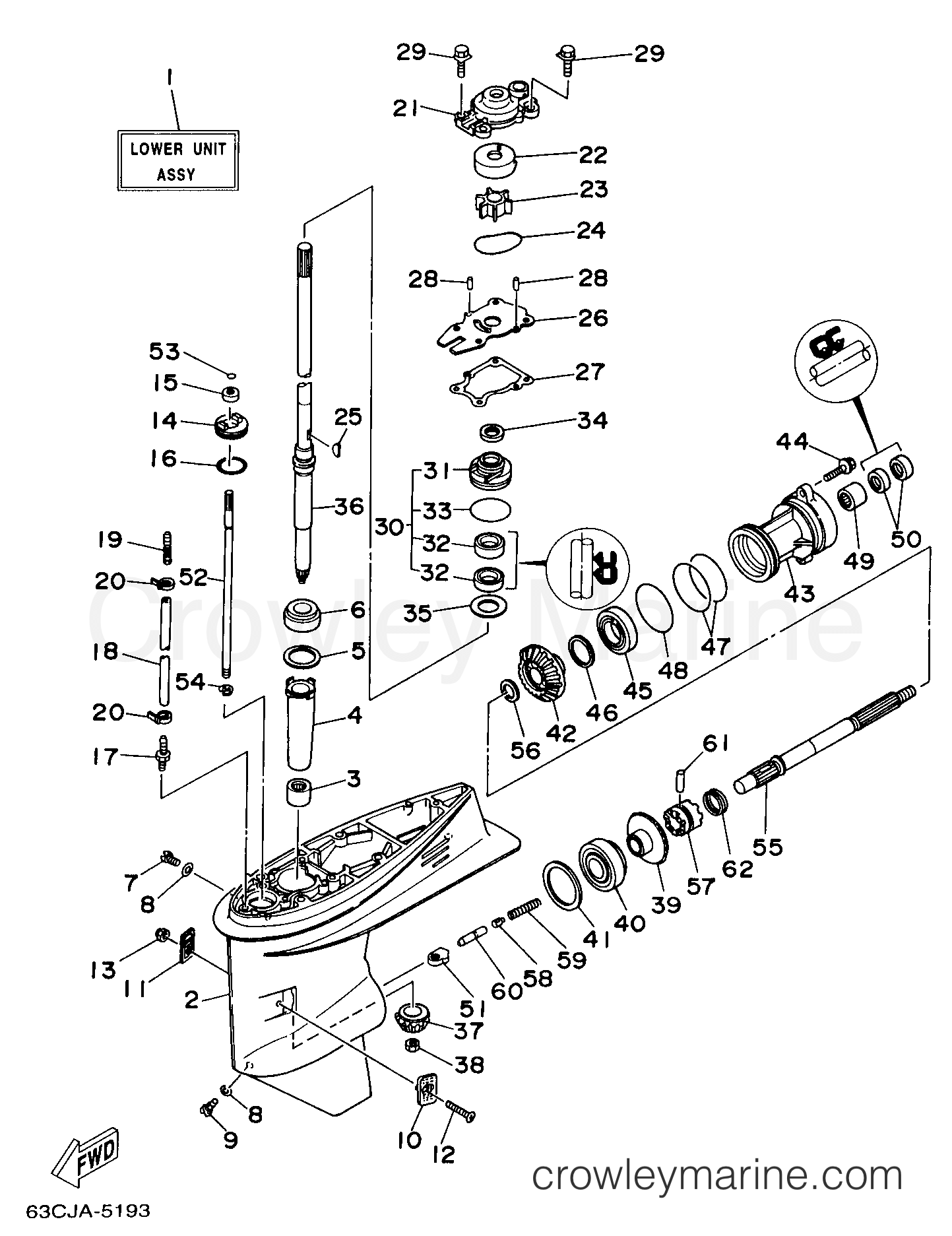 Yamaha Motors C50TLRW - LOWER CASING DRIVE 1