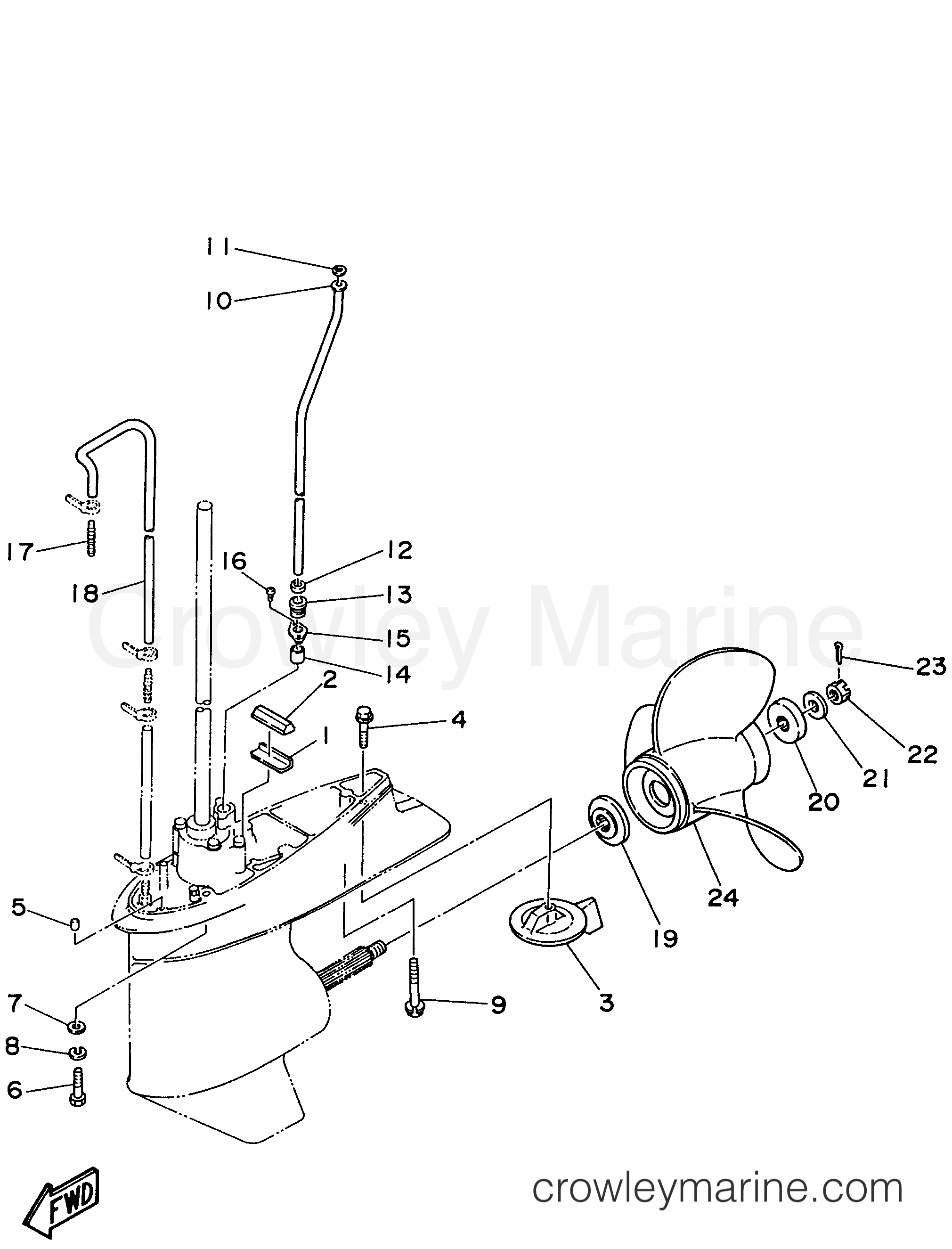 Yamaha Motors P75TLHW - LOWER CASING DRIVE 2