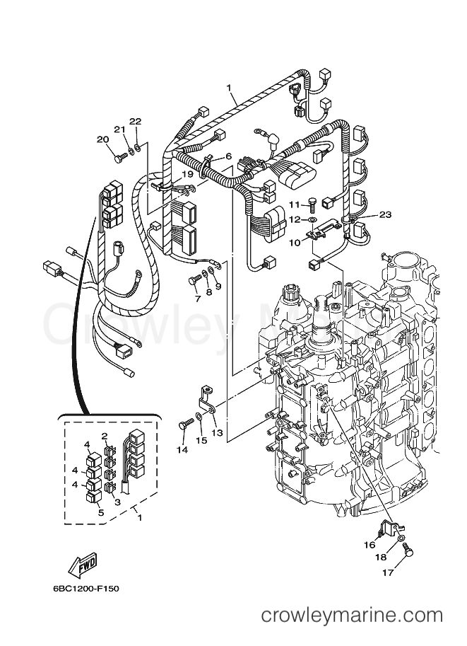 Yamaha Motors F80CEDL (6CK5) [020] - ELECTRICAL 3