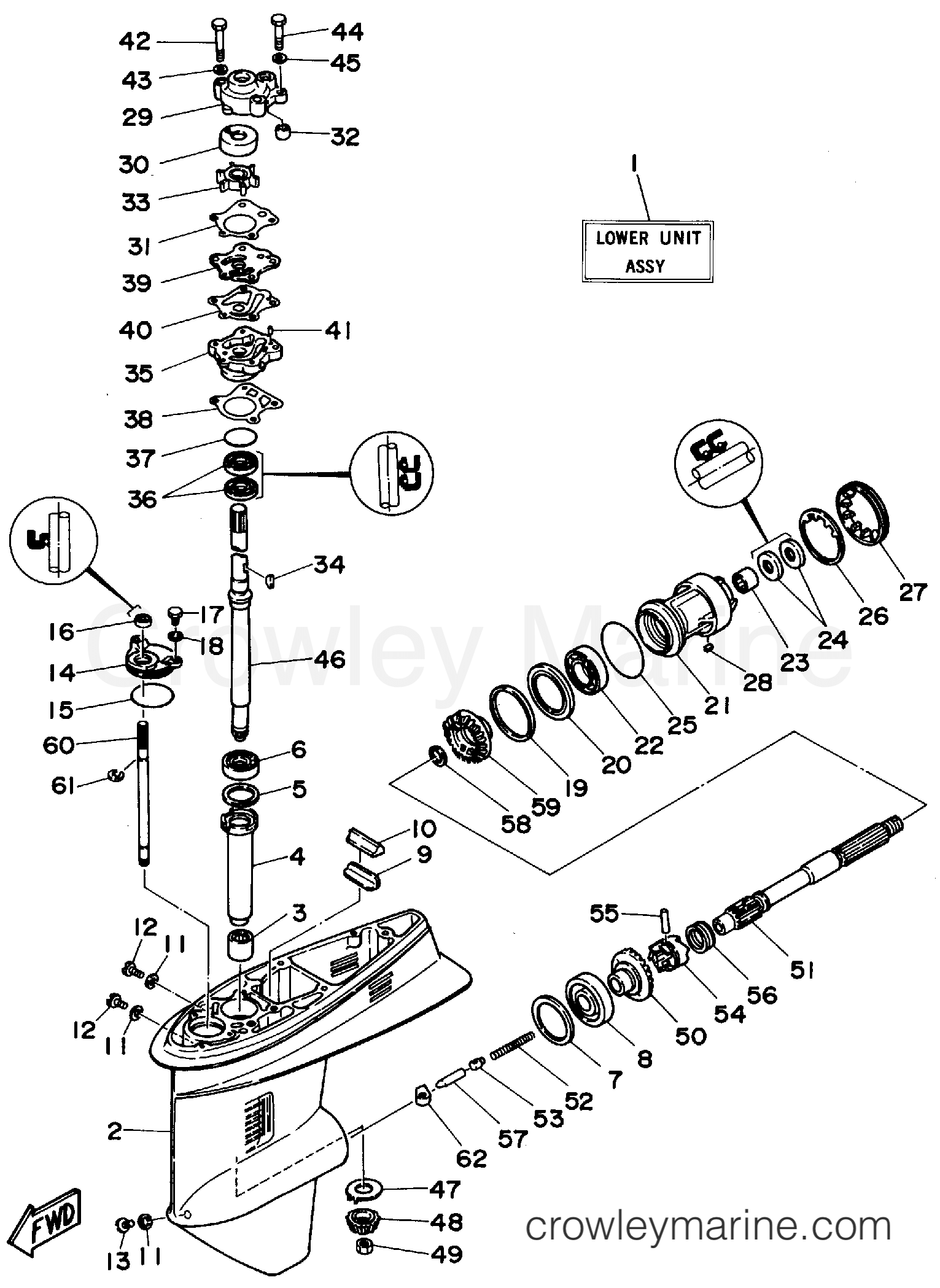 Yamaha Motors C55ELRS - LOWER CASING DRIVE 1