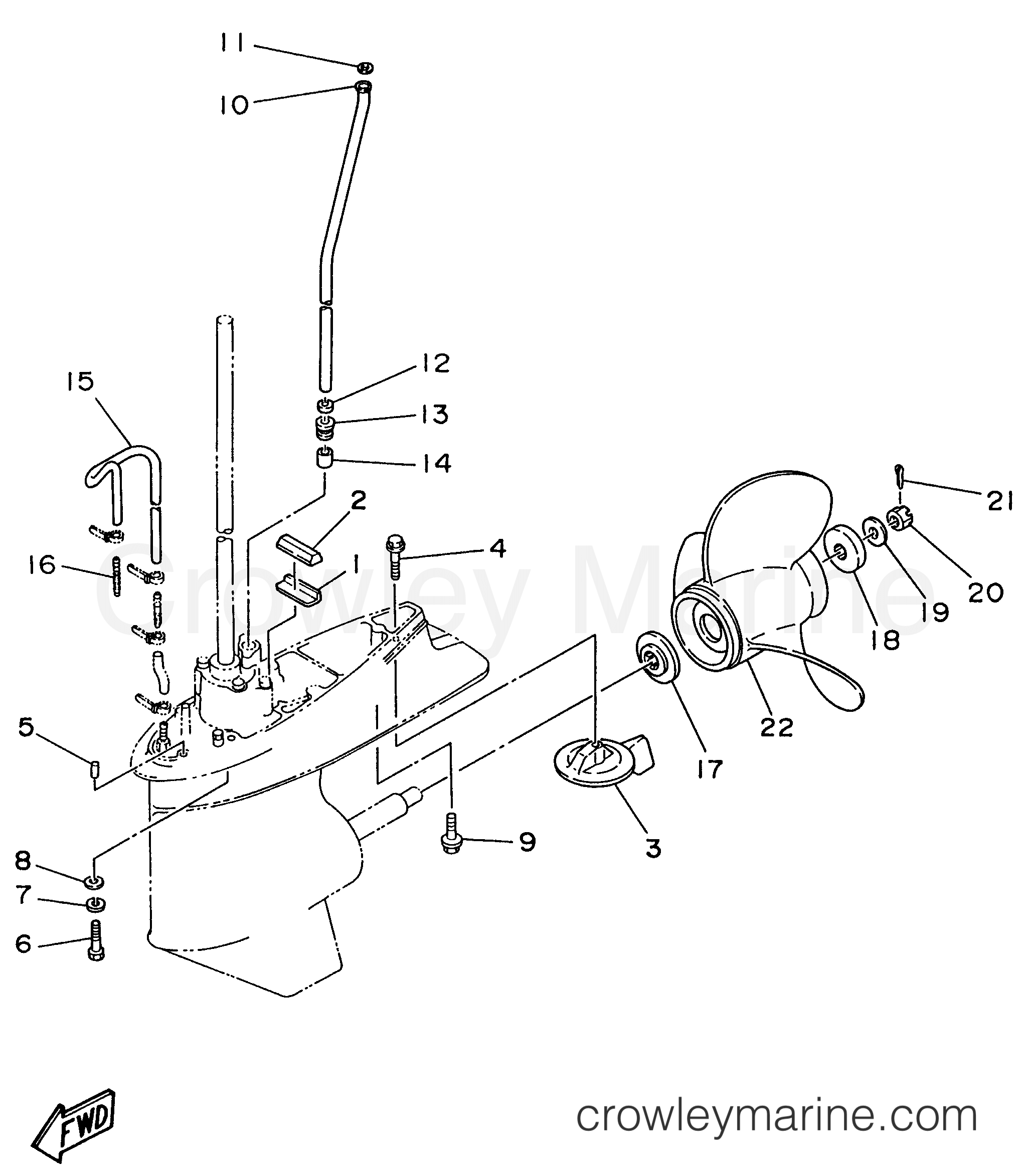 Yamaha Motors C60ELRU - LOWER CASING DRIVE 2