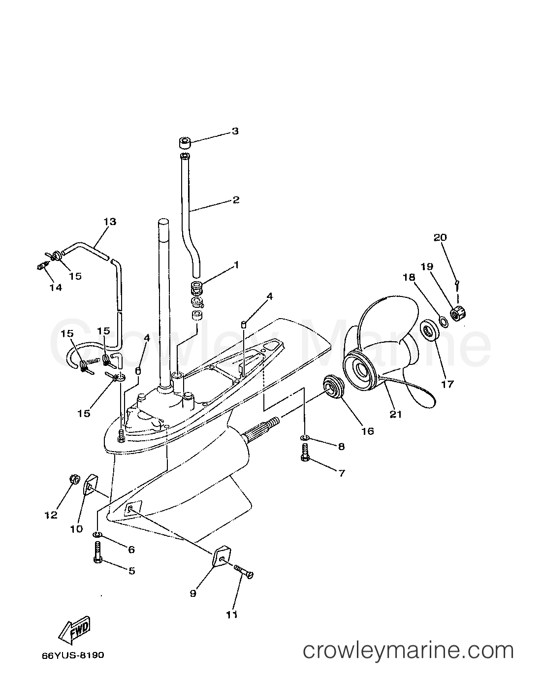 Yamaha Motors B115TLRX - LOWER CASING DRIVE 2