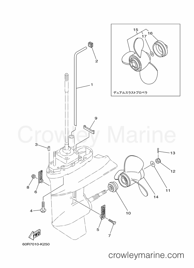 Yamaha Motors F8CWHL (60R8) [140] - LOWER CASING & DRIVE 2