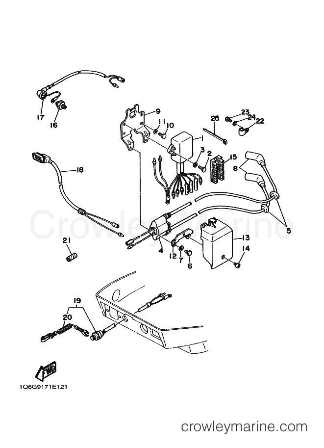 Yamaha Motors F9.9B (6G9) [030] - ELECTRICAL