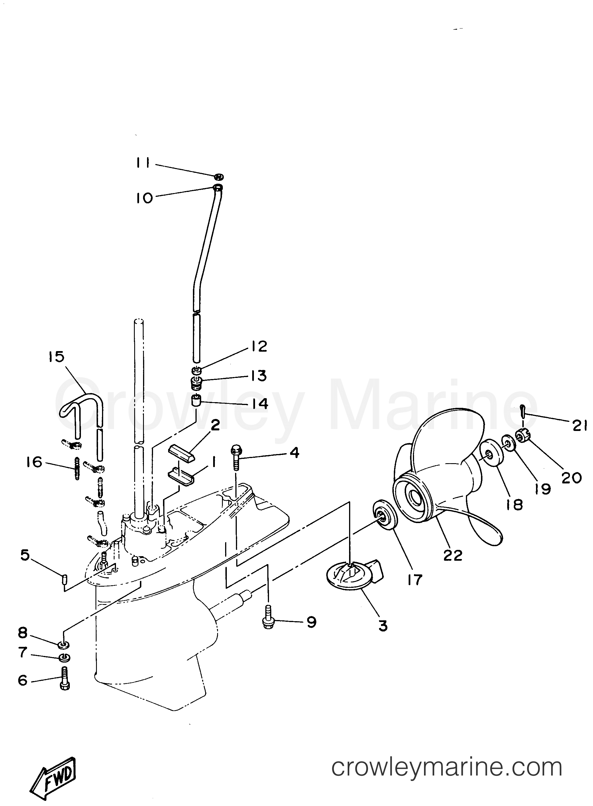 Yamaha Motors P60TLHW - LOWER CASING DRIVE 2