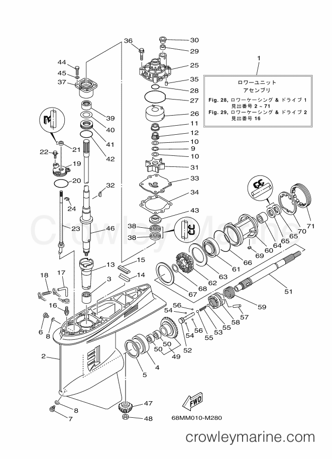 Yamaha Motors Z175HETOL (68MM) [020] - LOWER CASING & DRIVE 1