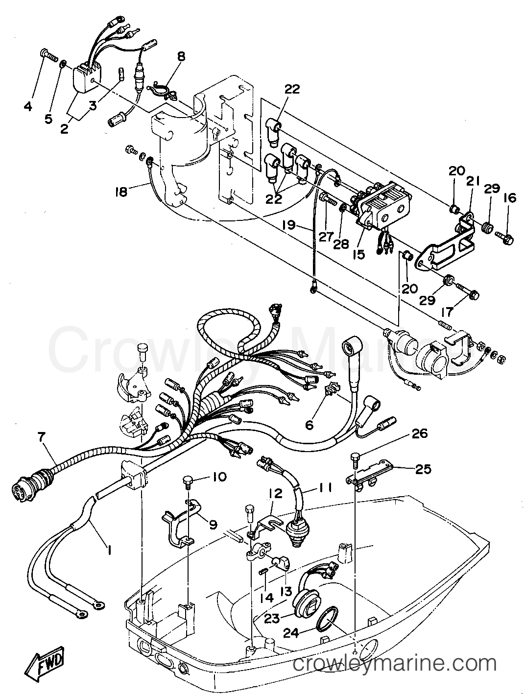 Yamaha Motors 50TLHS - ELECTRICAL 2