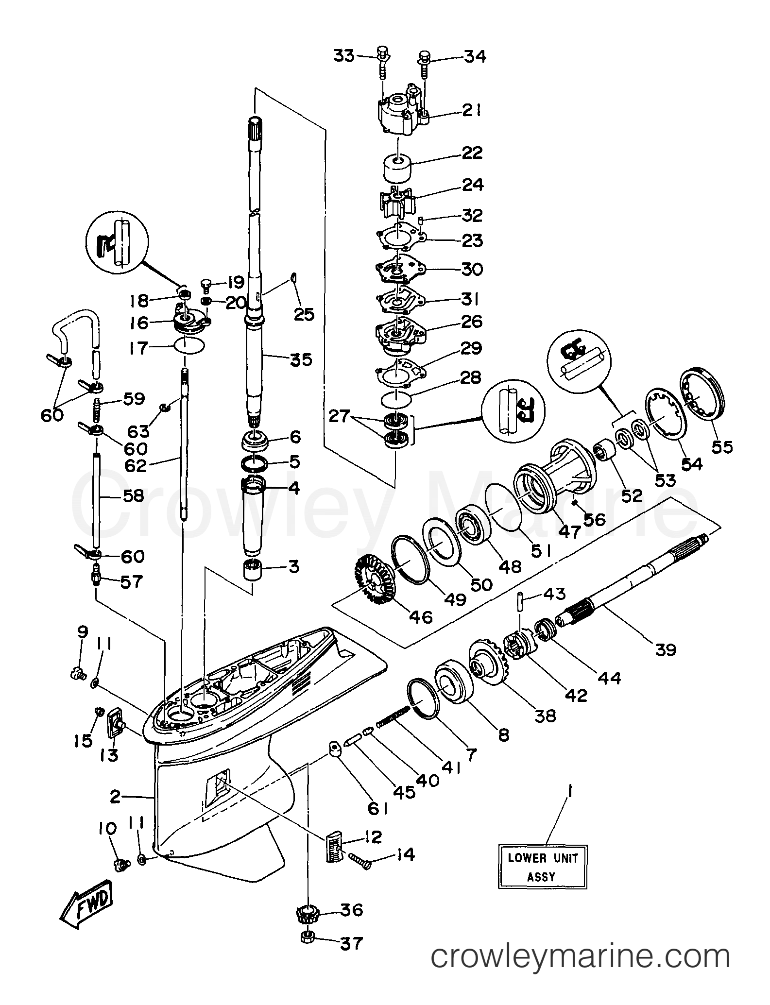 Yamaha Motors C80TLRV - LOWER CASING DRIVE 1