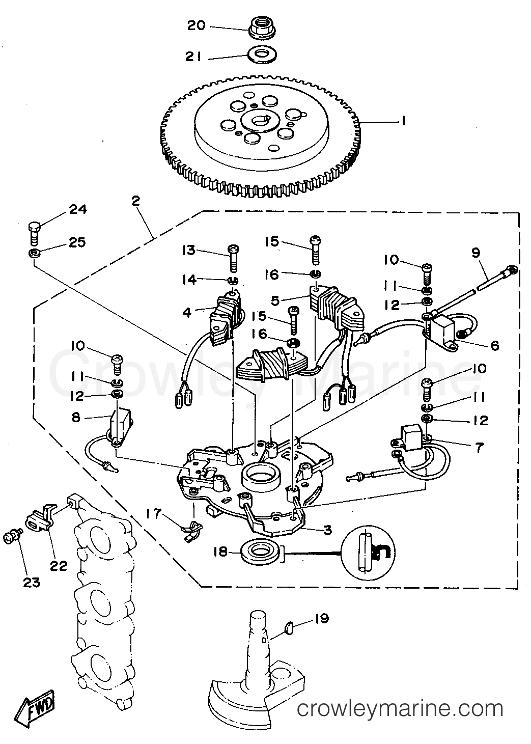 Yamaha Motors 50TLHS - MAGNETO