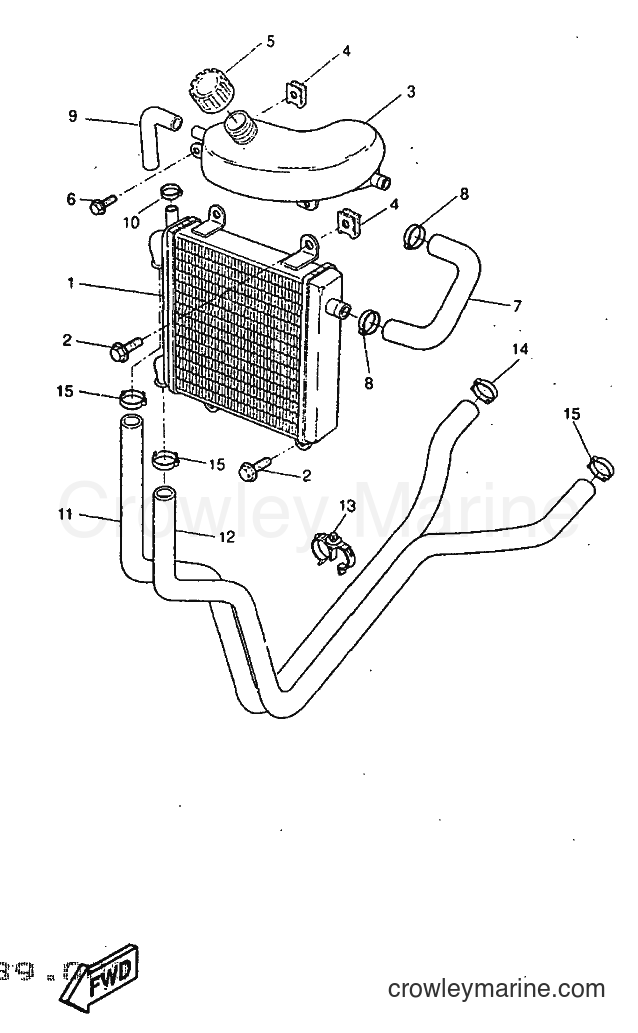 1998 Scooter YQ50 - YQ50 (5CK2) [010] - RADIATOR & HOSE