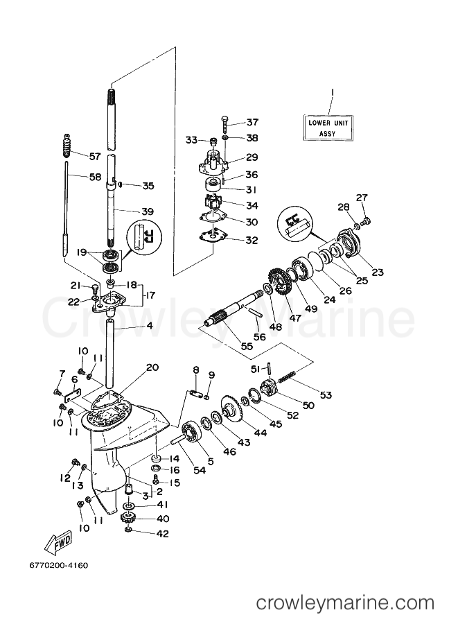 Yamaha Motors E8D (677) [030] - LOWER CASING & DRIVE 1