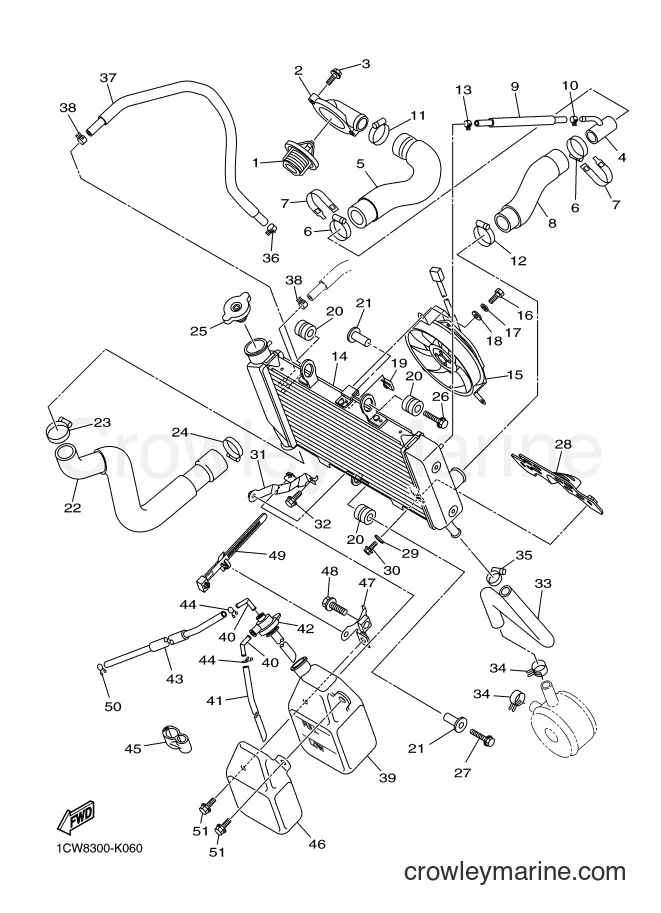 Yamaha Motors XJ6F (36PM) [010] - RADIATOR & HOSE