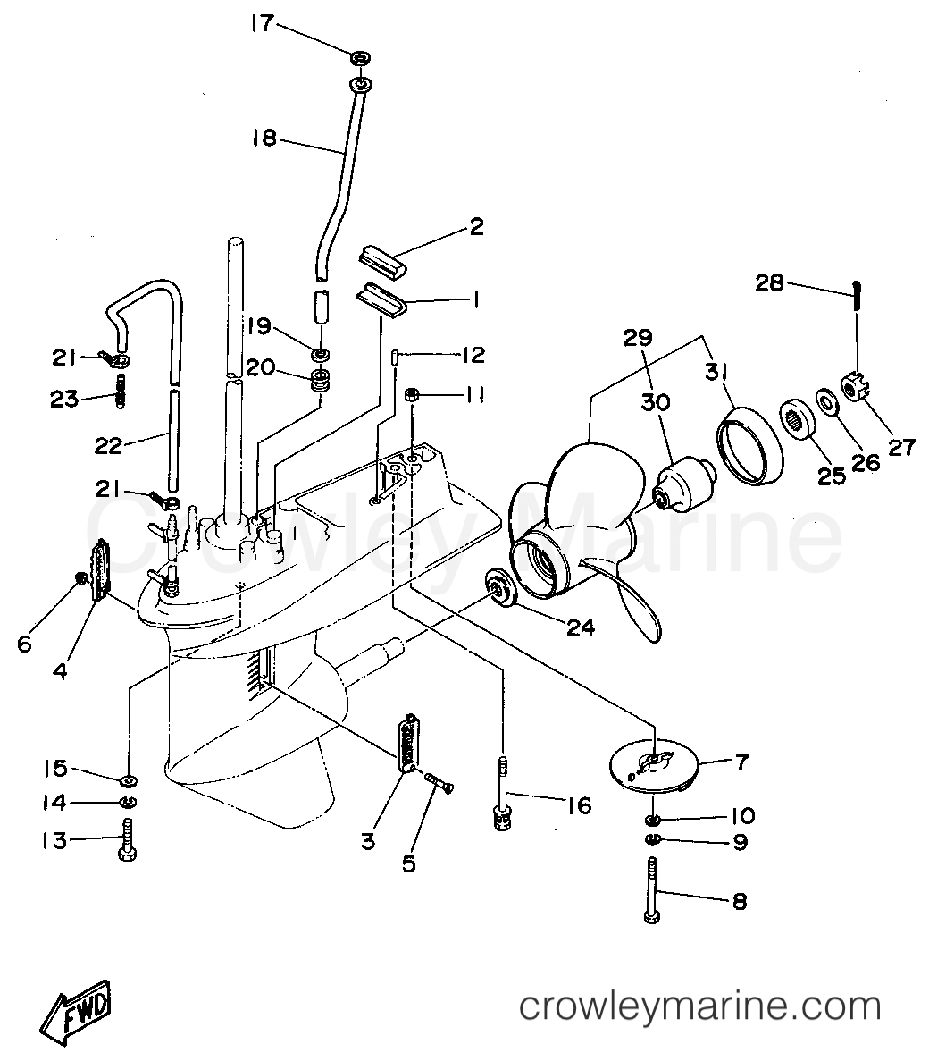 Yamaha Motors P50TLRS - LOWER CASING DRIVE 2