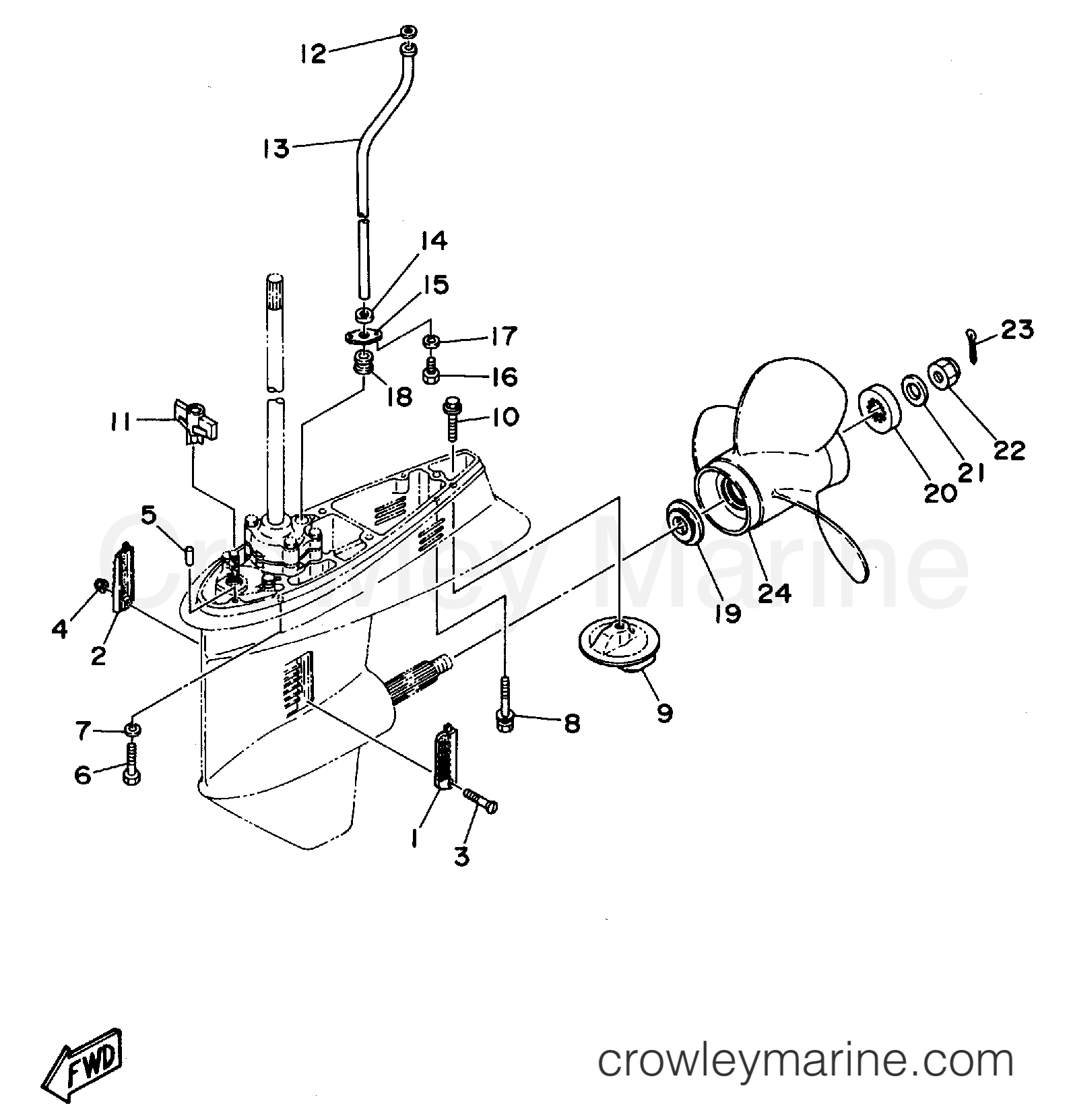 Yamaha Motors C55ELRS - LOWER CASING DRIVE 2