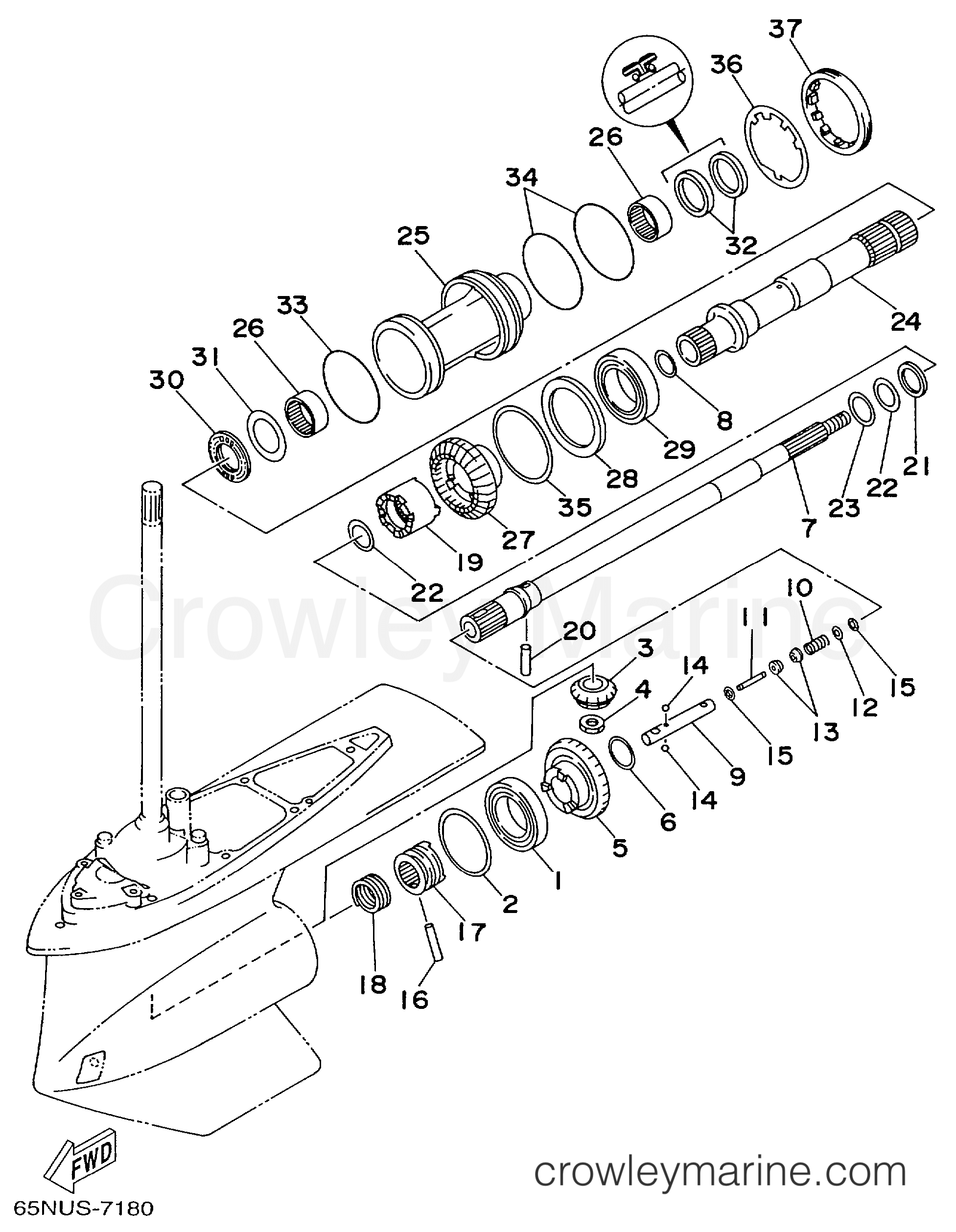 Yamaha Motors DX150TLRX - LOWER CASING DRIVE 2A