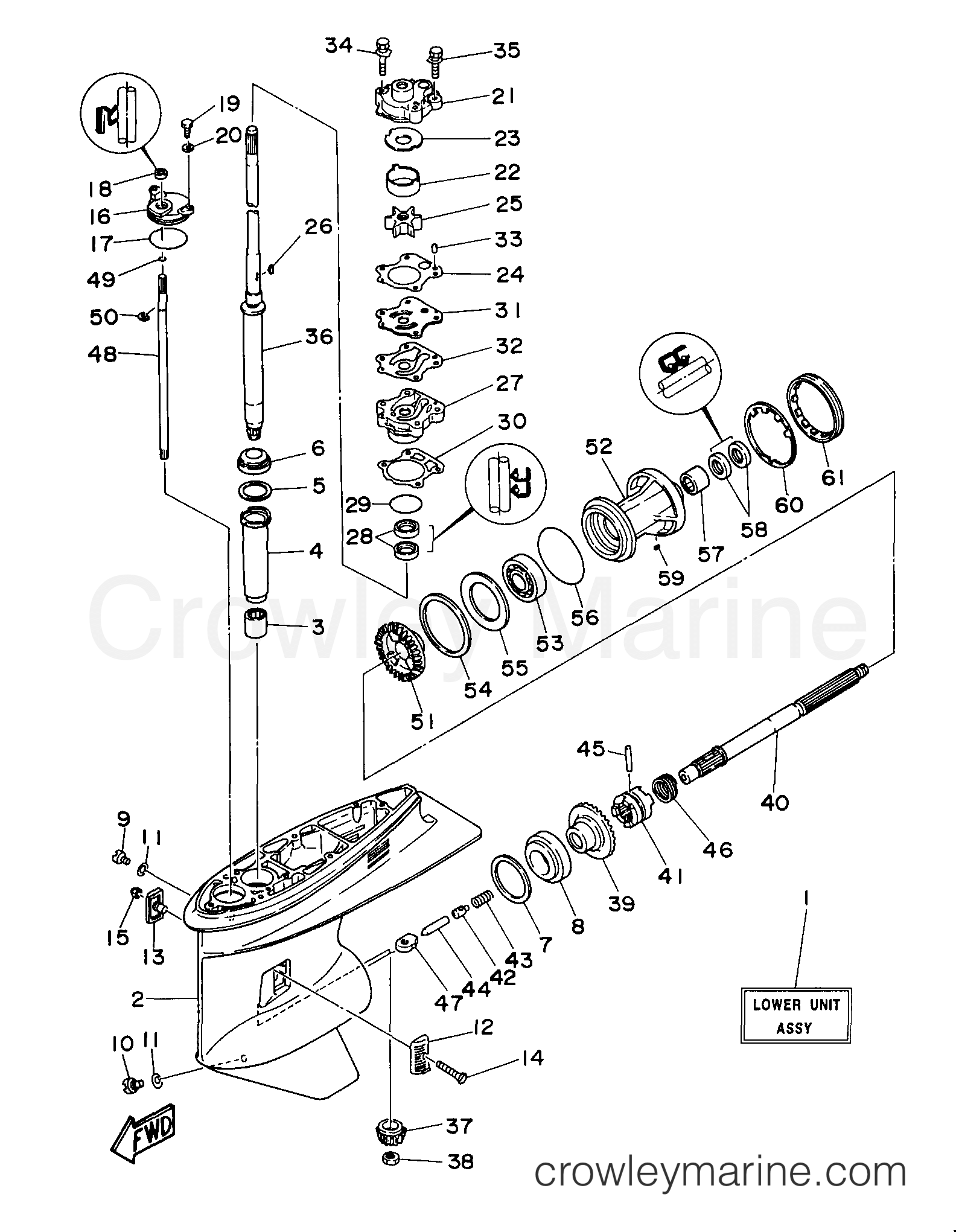 Yamaha Motors E60MLHW - LOWER CASING DRIVE 1