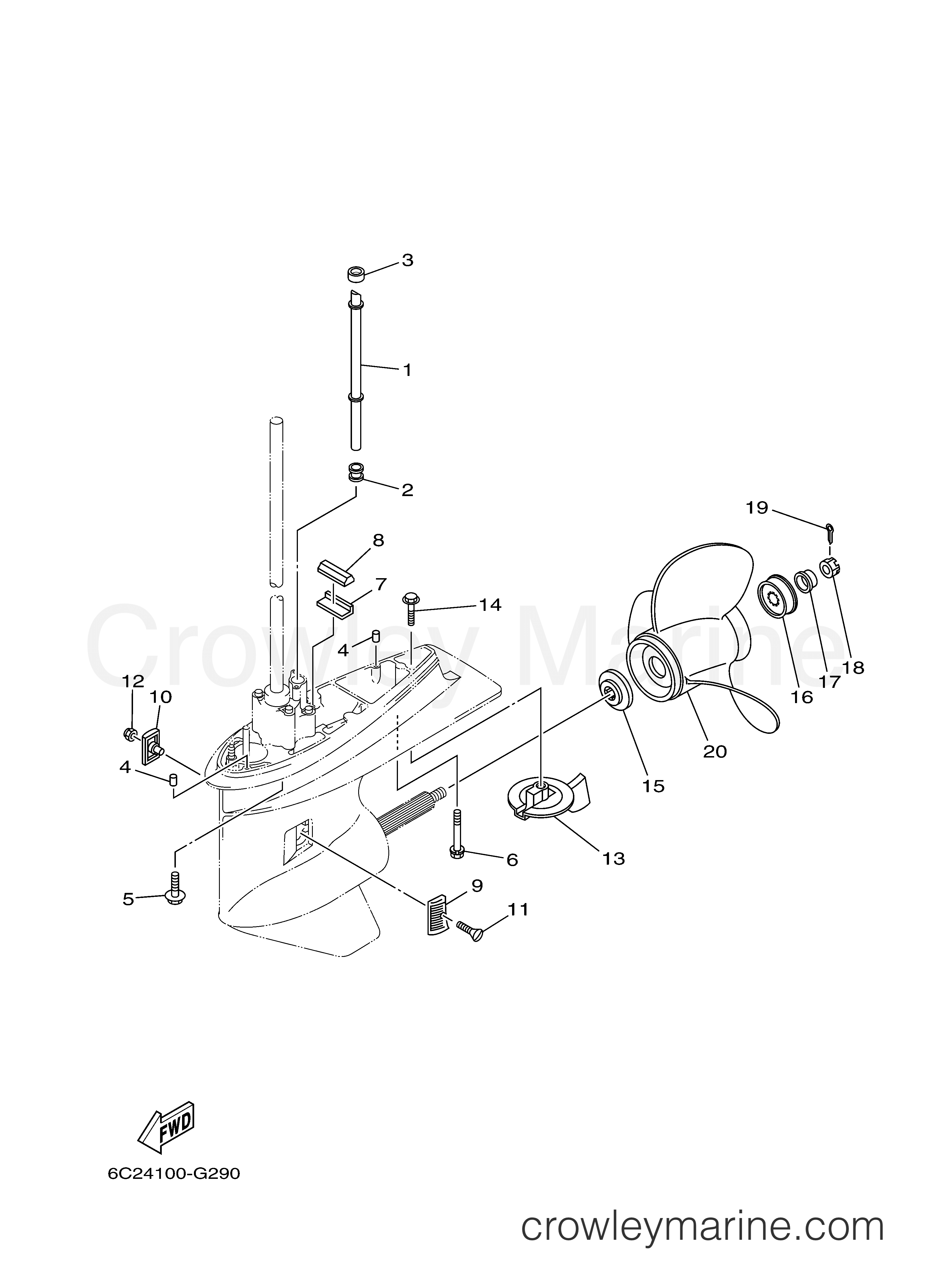 Yamaha Motors T50TLR - LOWER CASING DRIVE 2
