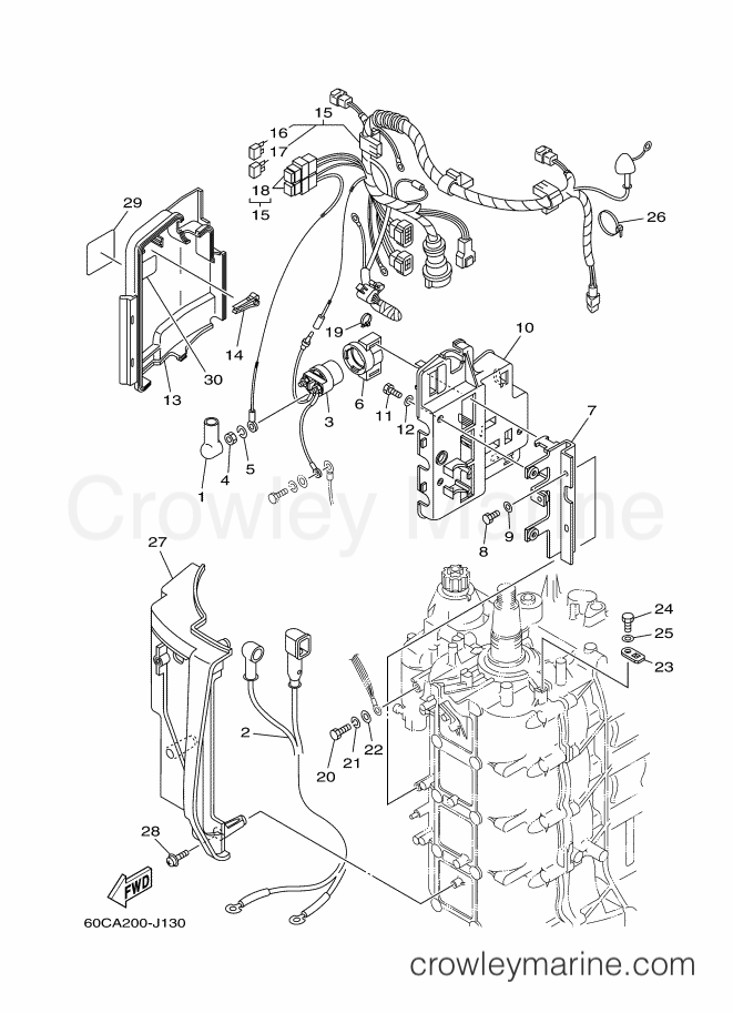 Yamaha Motors F100BEHDX (60CA) [160] - ELECTRICAL 3