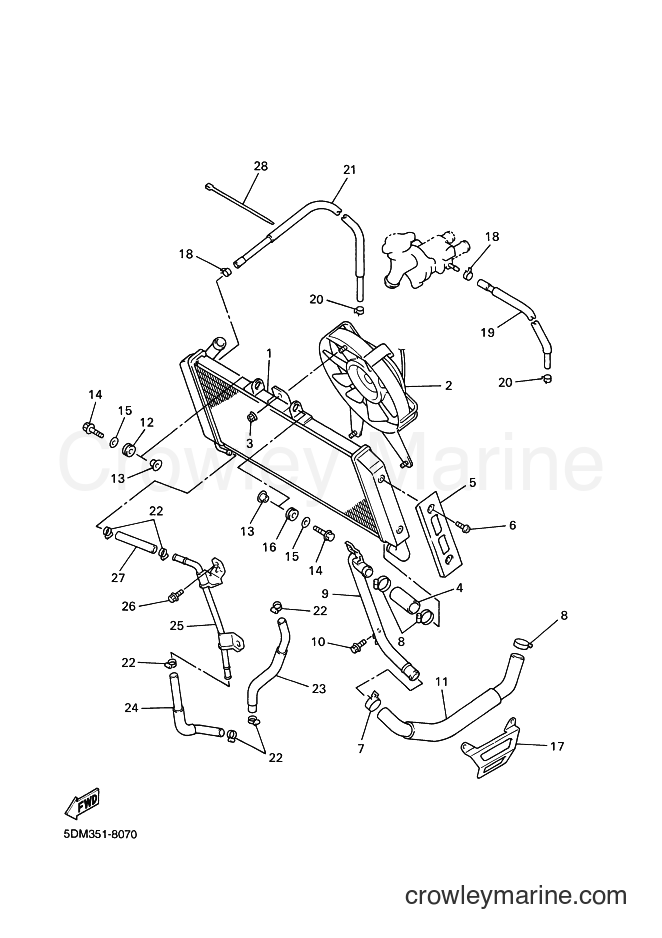 Yamaha Motors FZS600 (5DM7) [100] - RADIATOR & HOSE