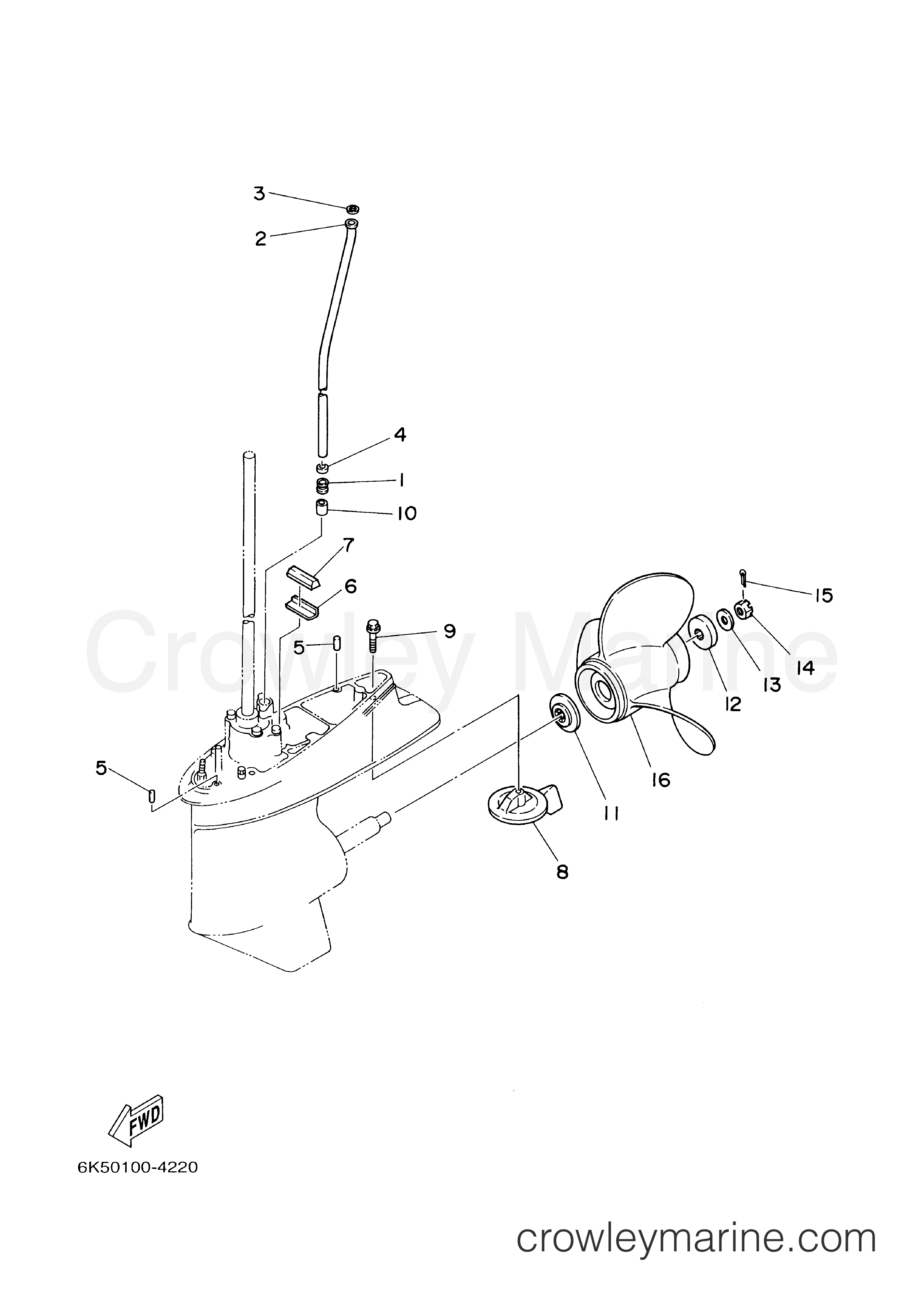 Yamaha Motors E60MLHY - LOWER CASING DRIVE 2