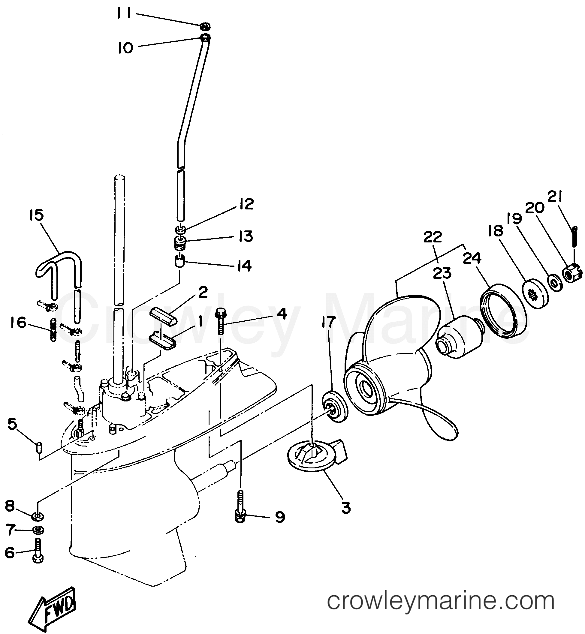 Yamaha Motors 70TLRU - LOWER CASING DRIVE 2