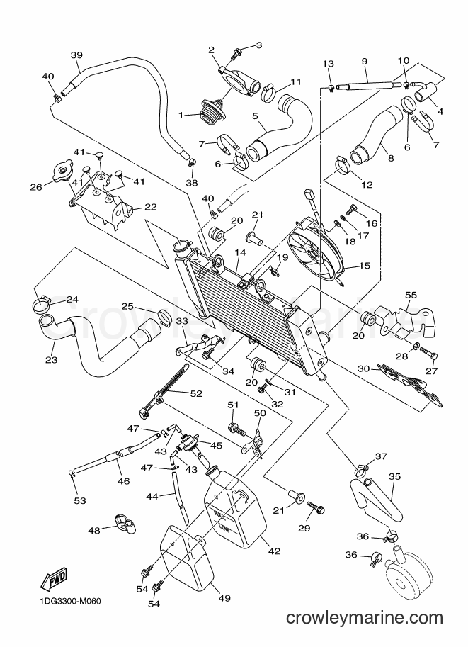 Yamaha Motors XJ6FA (1DG3) [040] - RADIATOR & HOSE