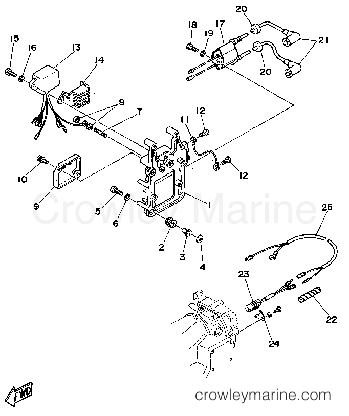 Yamaha Motors C40MLHS - ELECTRICAL 1