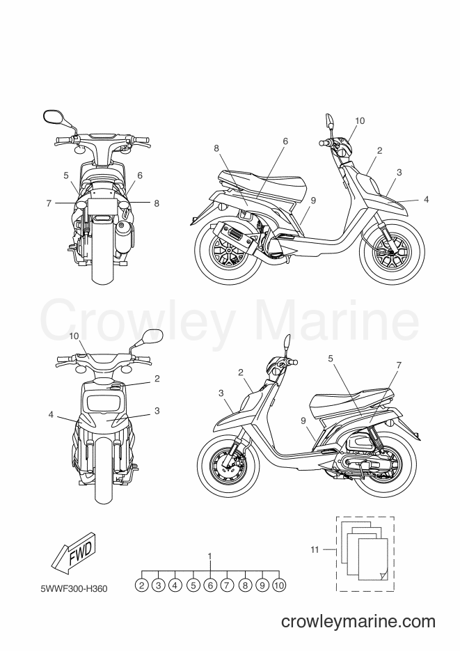 2009 Scooter CW50 - CW50 (5WWF) [010] - GRAPHIC & EMBLEM