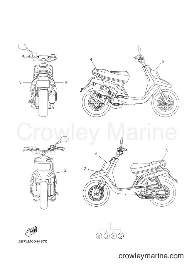 2013 Scooter CW50N - CW50N (2B7M) [020] - GRAPHIC & EMBLEM
