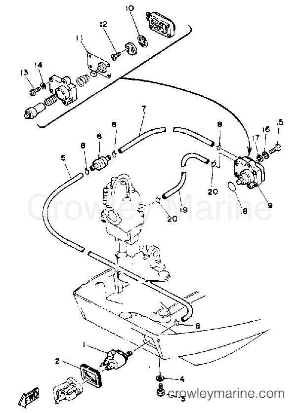Yamaha Motors F9.9MLHQ - FUEL SYSTEM