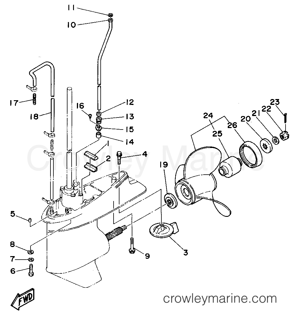 Yamaha Motors 90TJRT - LOWER CASING DRIVE 2