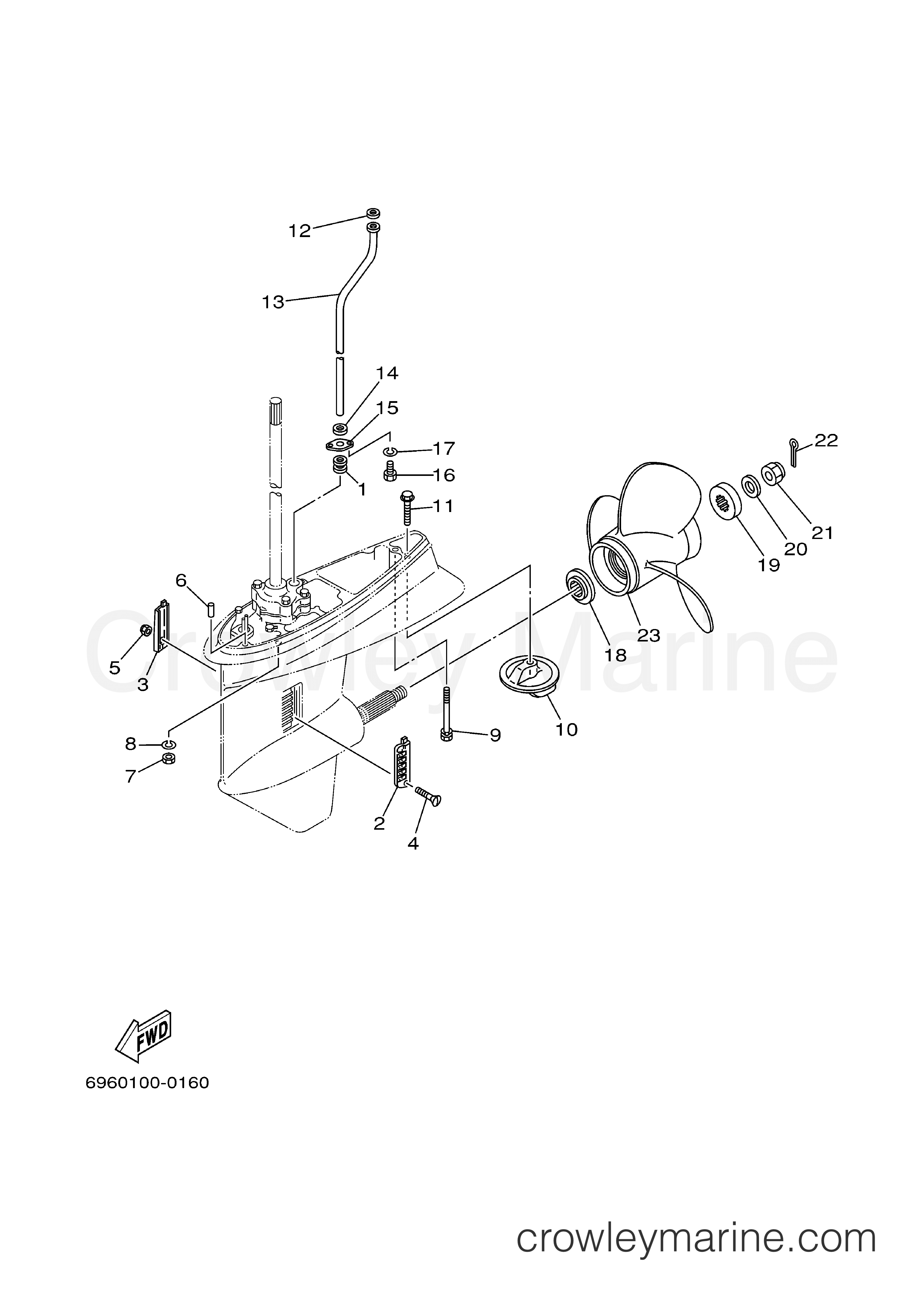 Yamaha Motors E48MLHY - LOWER CASING DRIVE 2