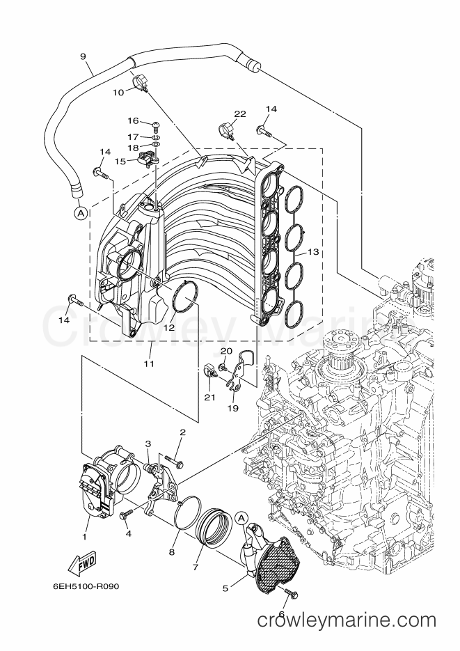 Yamaha Motors F200CA (6DV5) [030] - INTAKE 1