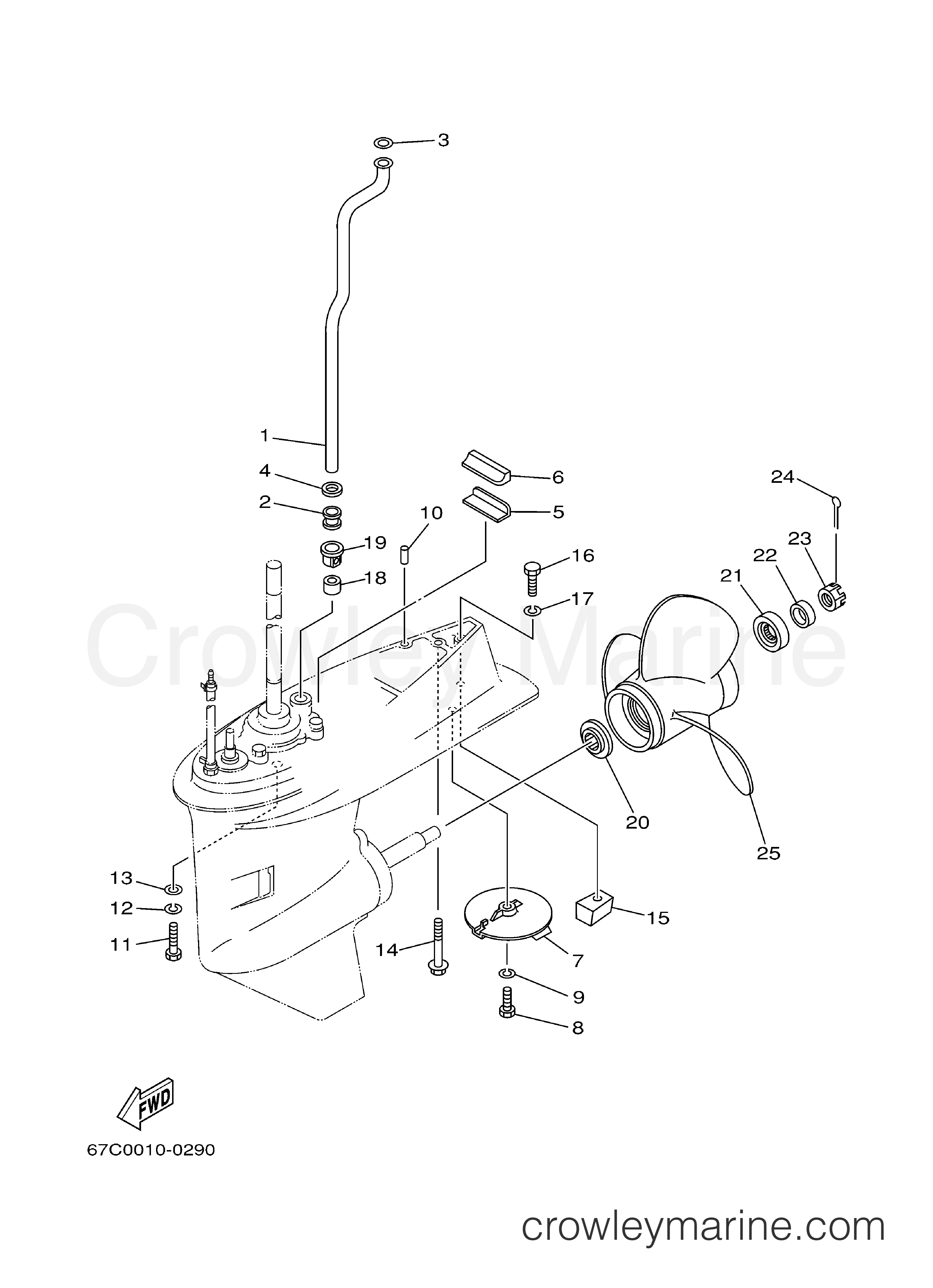 Yamaha Motors F40EJRB - LOWER CASING DRIVE 2