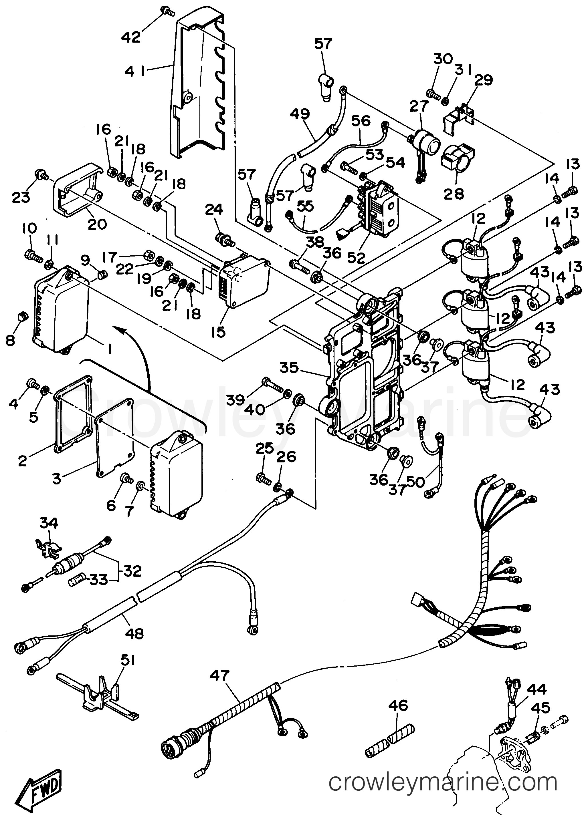 Yamaha Motors C75TLRU - ELECTRICAL 1