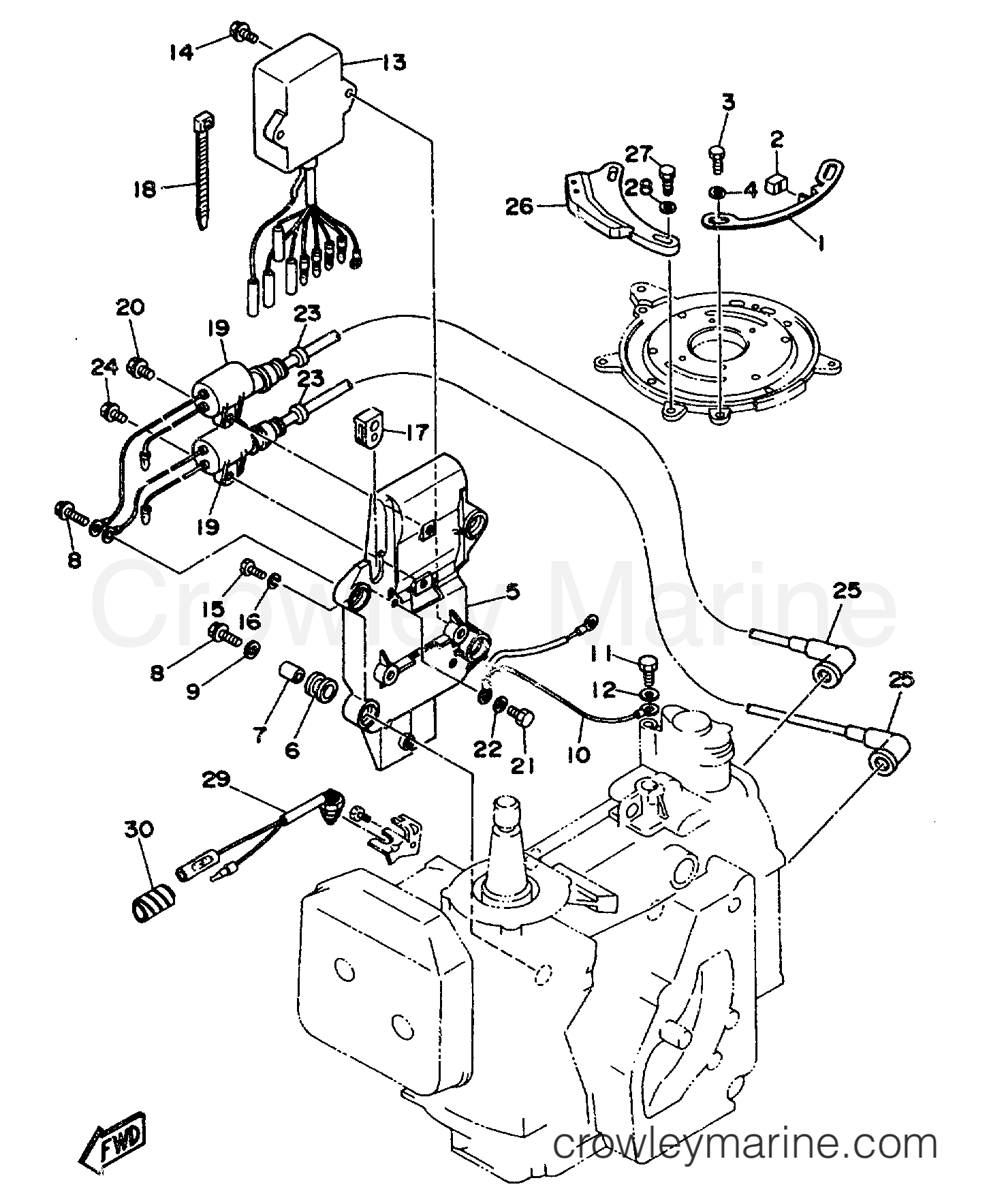 Yamaha Motors C30MLHS - ELECTRICAL 1