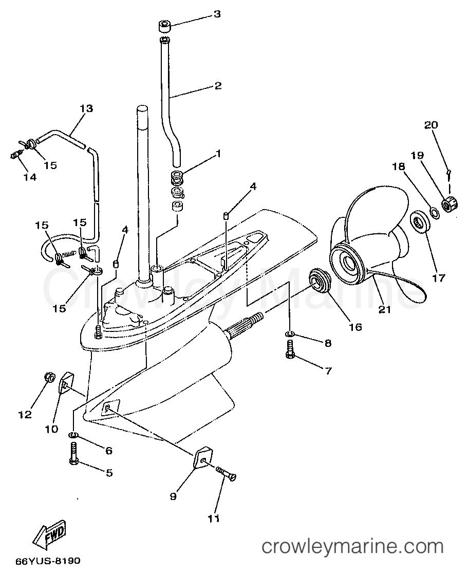 Yamaha Motors B115TLRW - LOWER CASING DRIVE 2