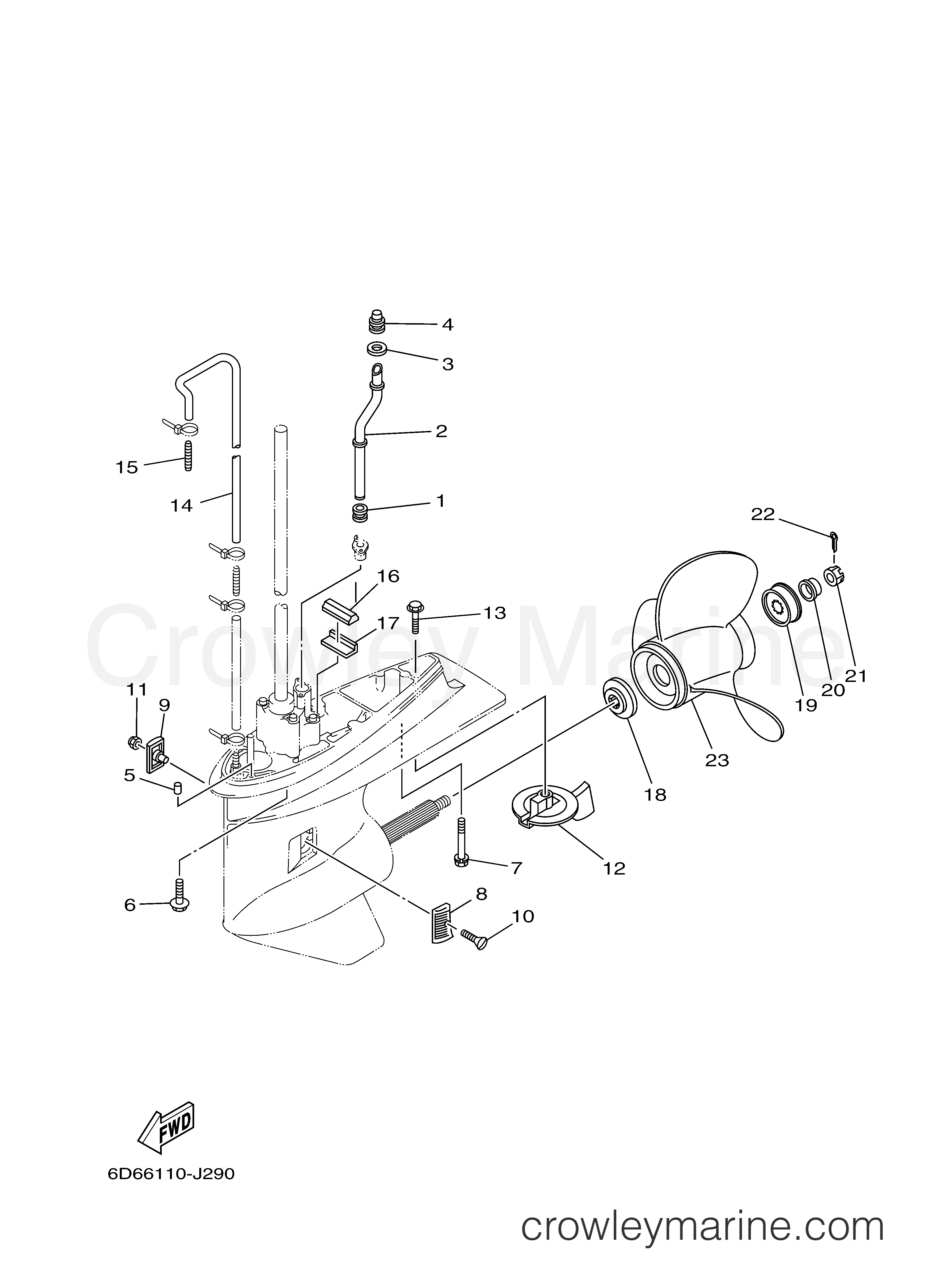 Yamaha Motors F75TLR - LOWER CASING DRIVE 2