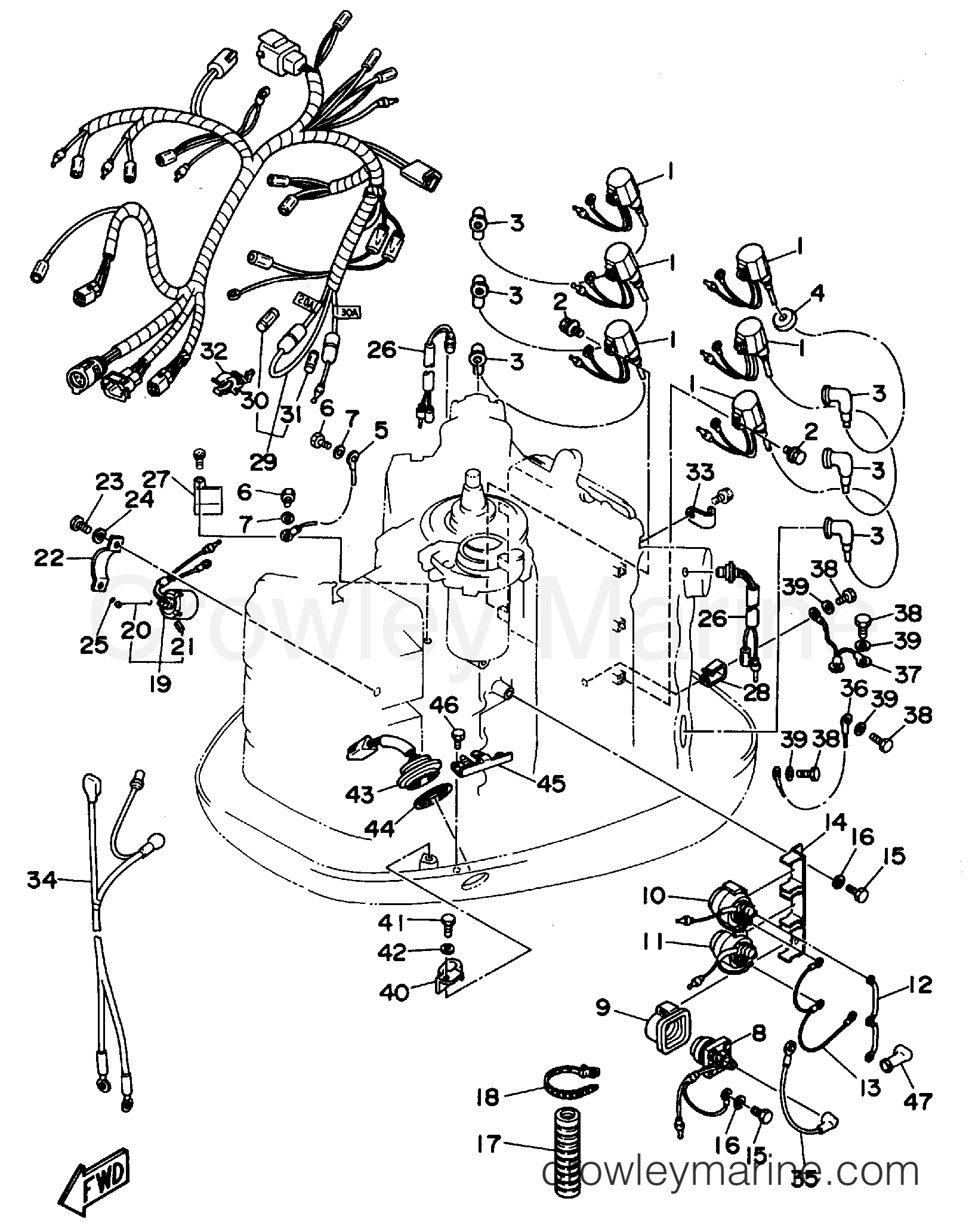 Yamaha Motors 150TXRS - ELECTRICAL 2