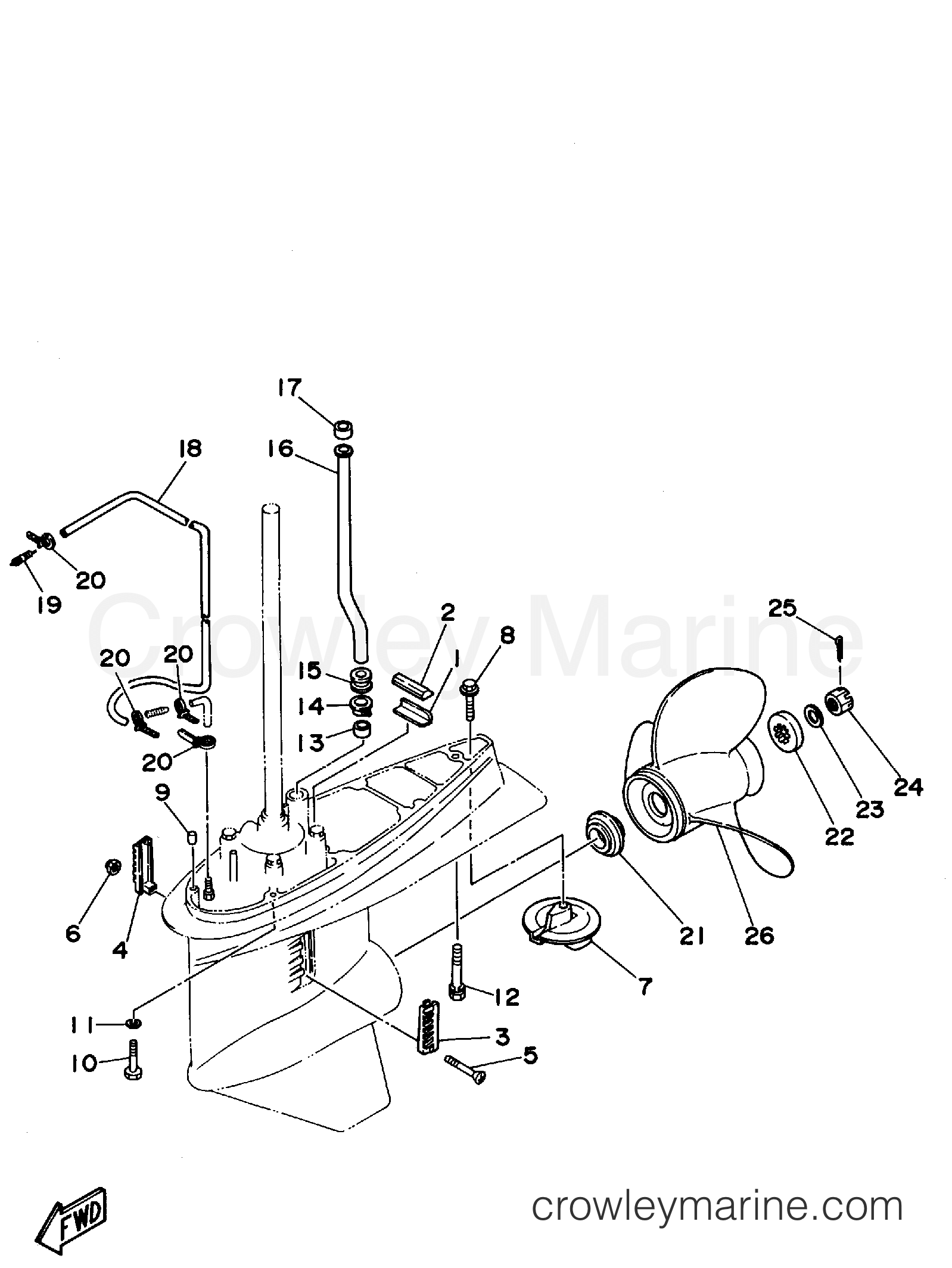 Yamaha Motors C115TLRS - LOWER CASING DRIVE 2