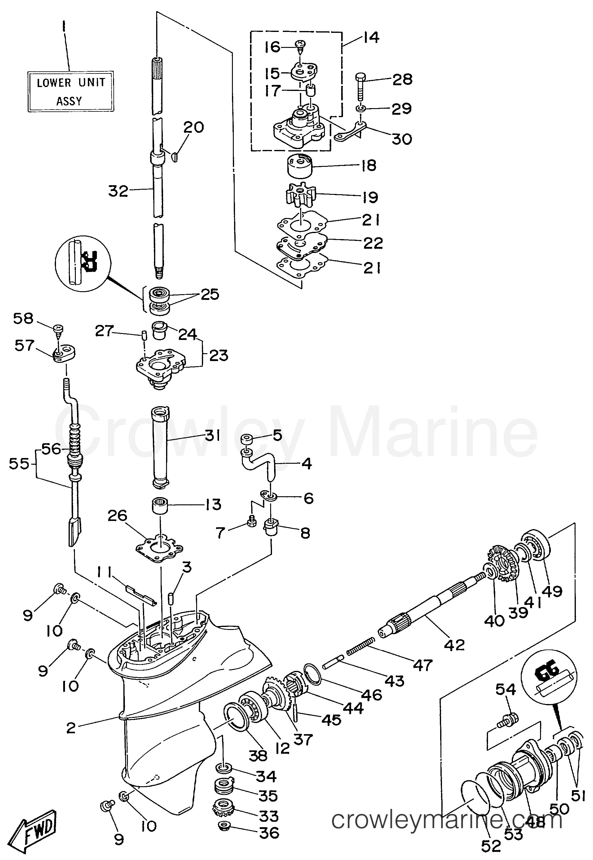 Yamaha Motors F9.9ELRW - LOWER CASING DRIVE 1