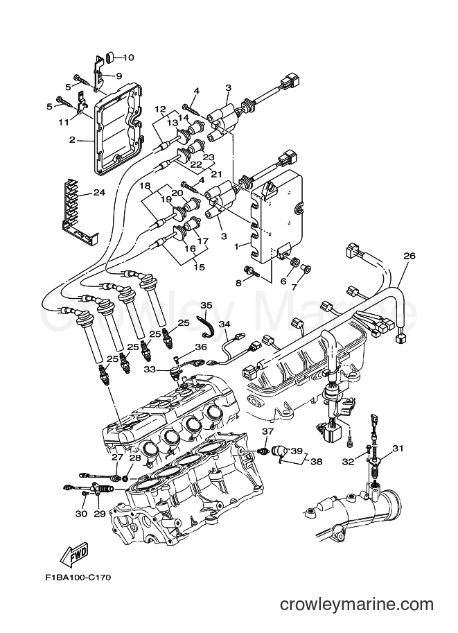 Yamaha Motors FX1000A-C (F1BE) [010] - ELECTRICAL 2