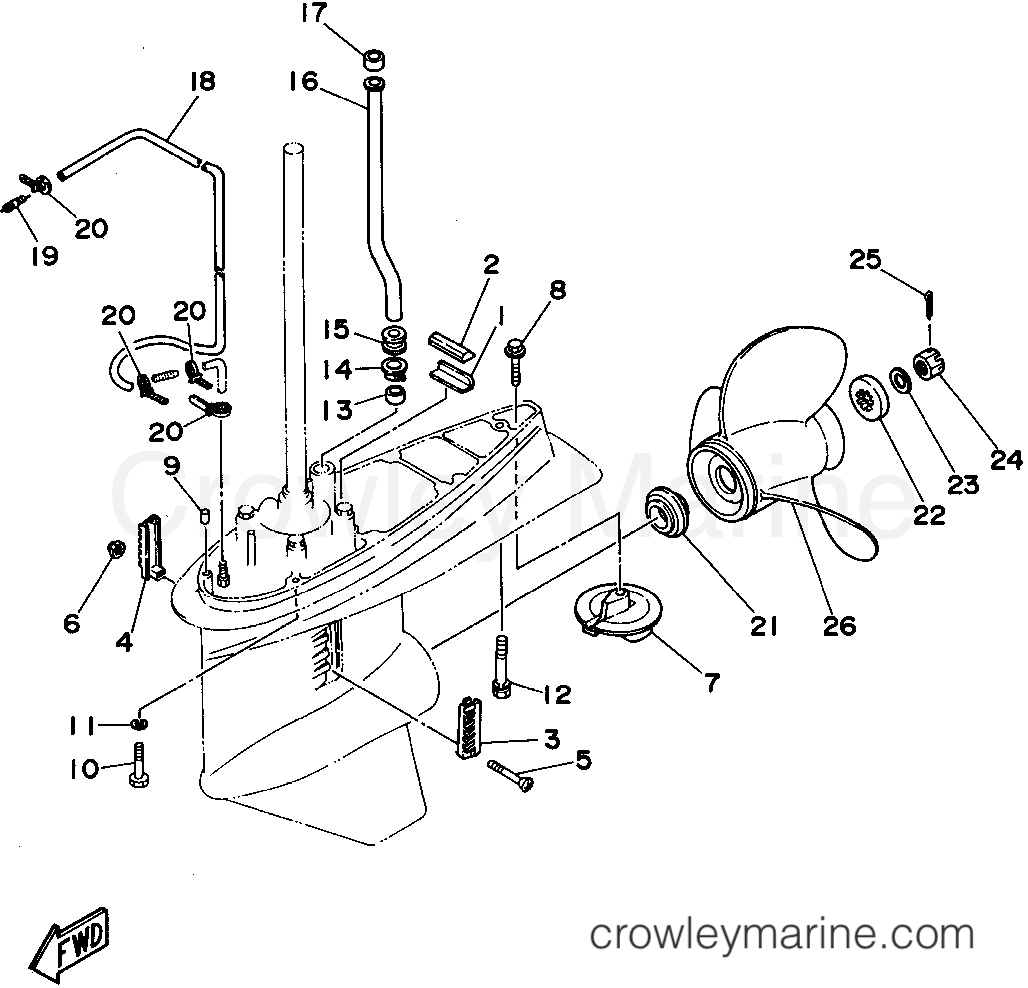 Yamaha Motors C115TXRT - LOWER CASING DRIVE 2