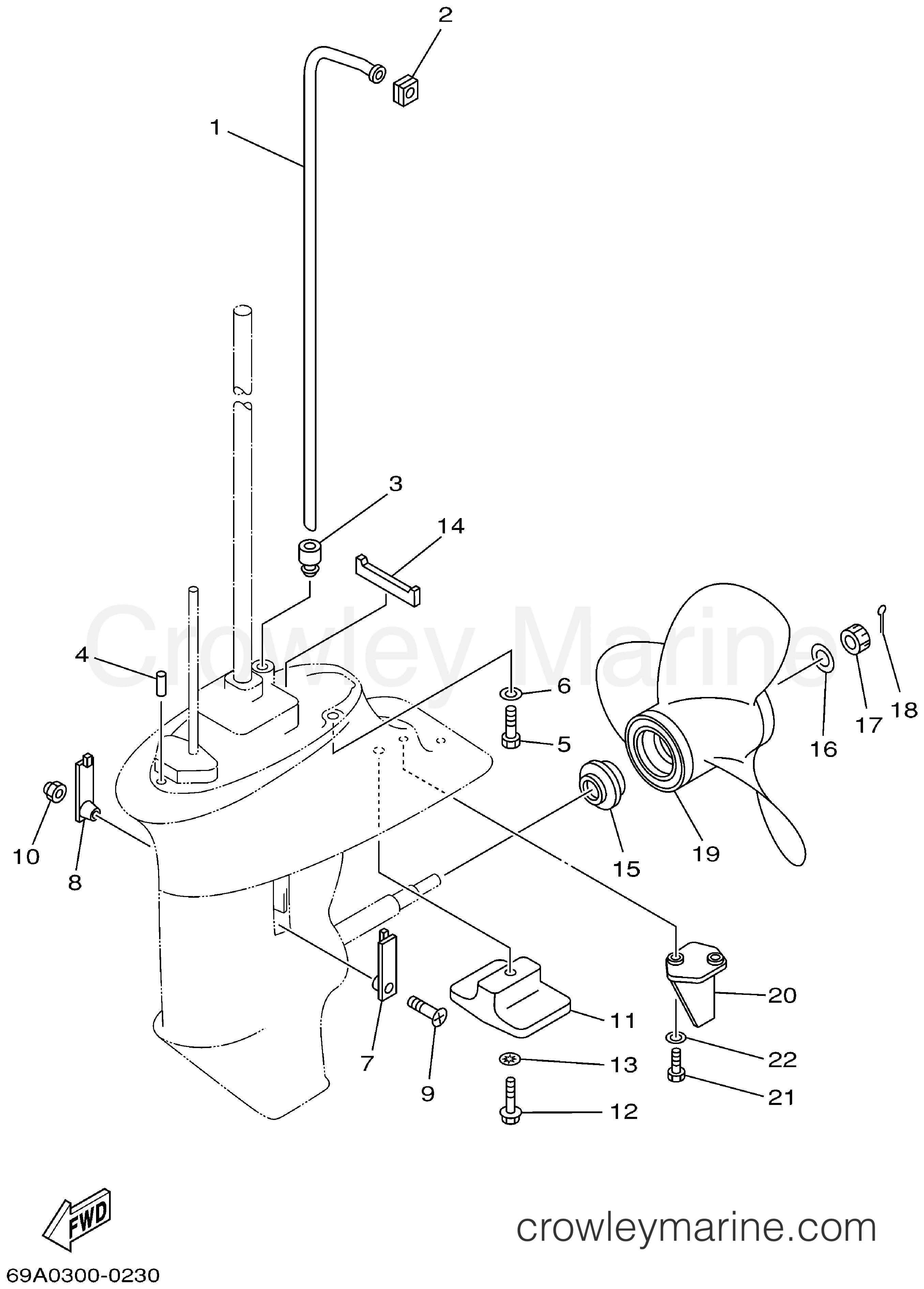 Yamaha Motors F15ESHA - LOWER CASING DRIVE 2